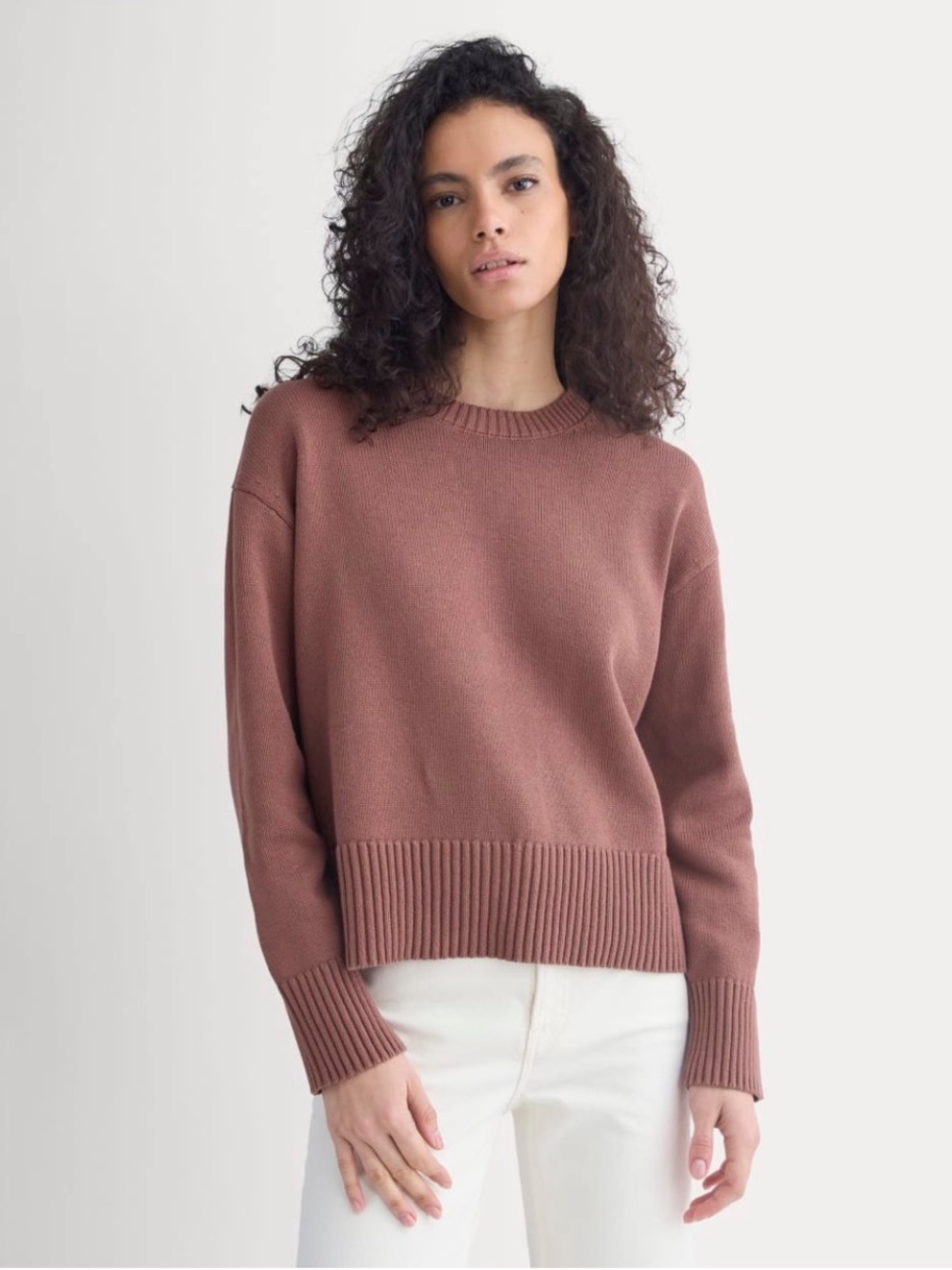 Everlane The Boxy Sweater in Everyday 100% Cotton | XS